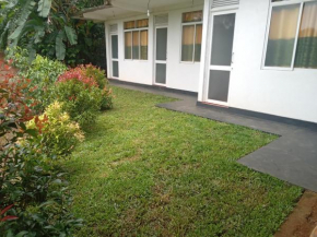 Rainforest Holiday Inn